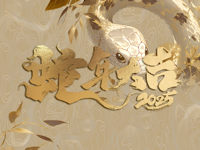 蛇年大吉 (蛇年)元月入金大赏